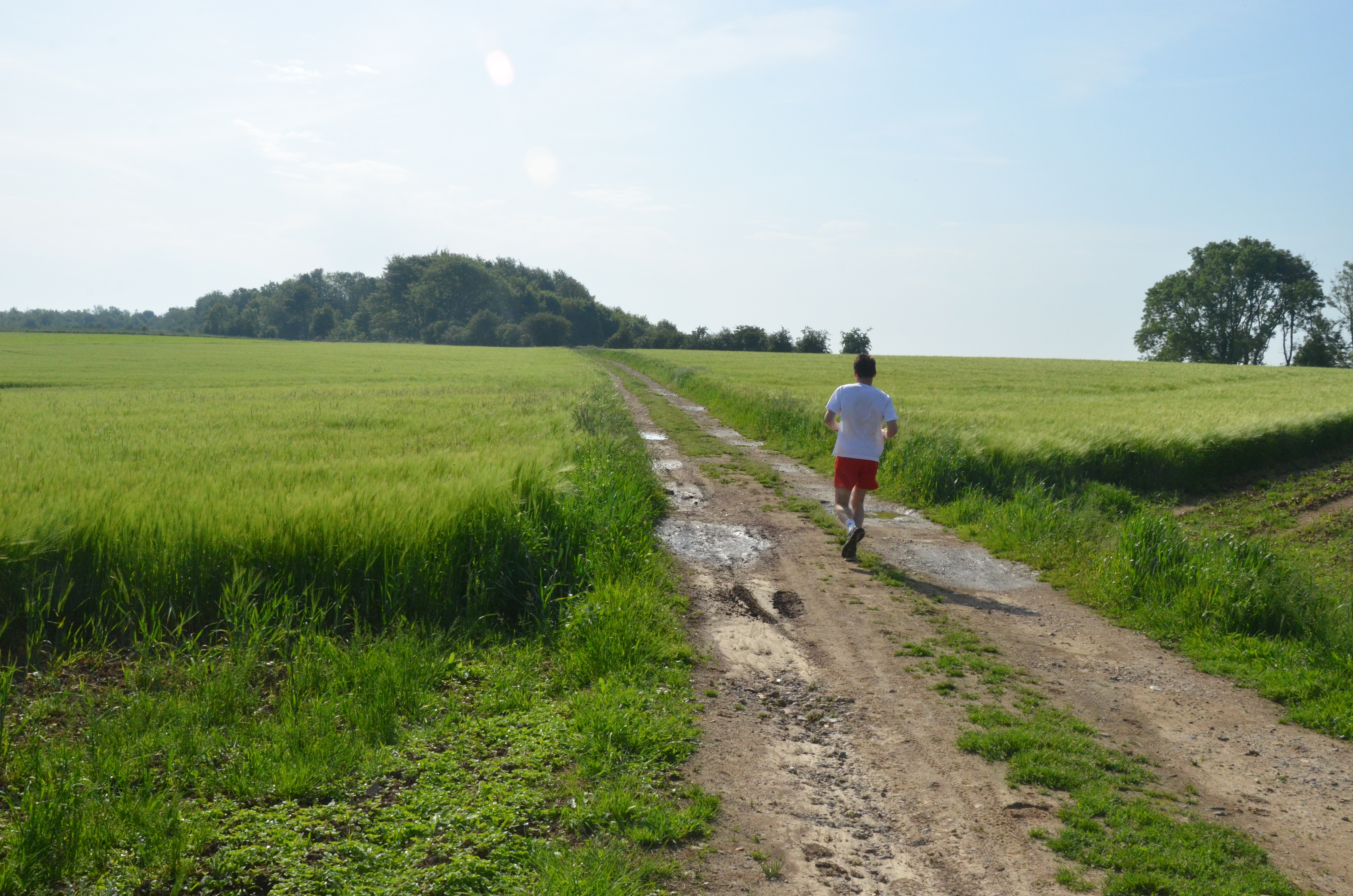 Tour de l'Audomarois et randonnées en Caps et Marais d'Opale